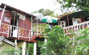 小さな山小屋 オウルガーデン